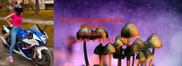 ГАЛЛЮЦИНОГЕННЫЕ ГРИБЫ Армянск