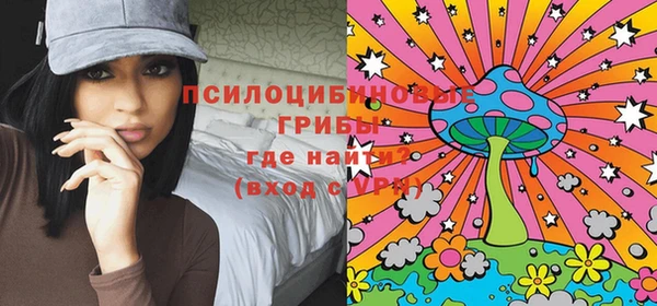 a pvp Осинники