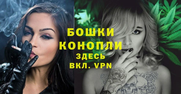 мяу мяу кристалл Переславль-Залесский