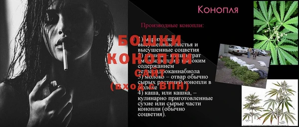 ГАЛЛЮЦИНОГЕННЫЕ ГРИБЫ Армянск